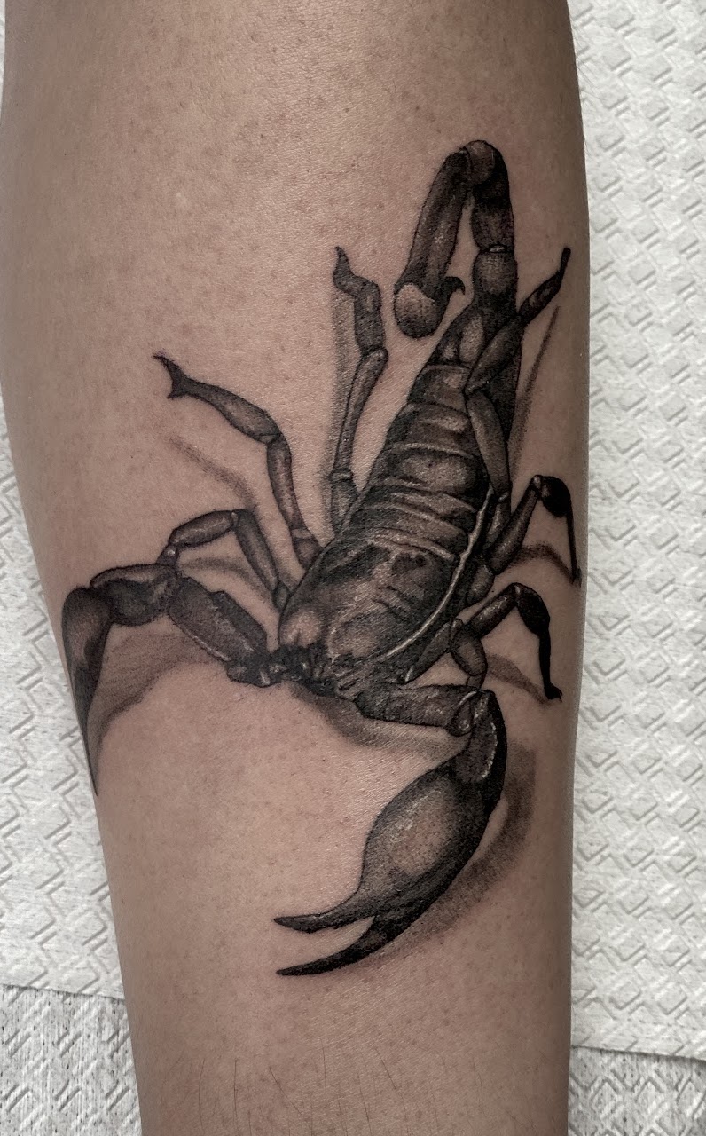 Tatuaje escorpión realismo black grey — CAOS Art Tattoo Chile