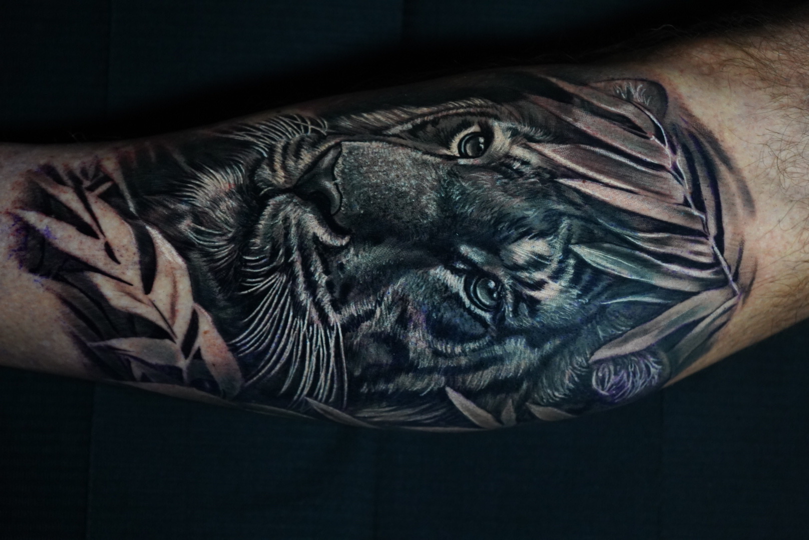 Tatuaje tigre realismo black grey con hojas de bambú — CAOS Art Tattoo Chile