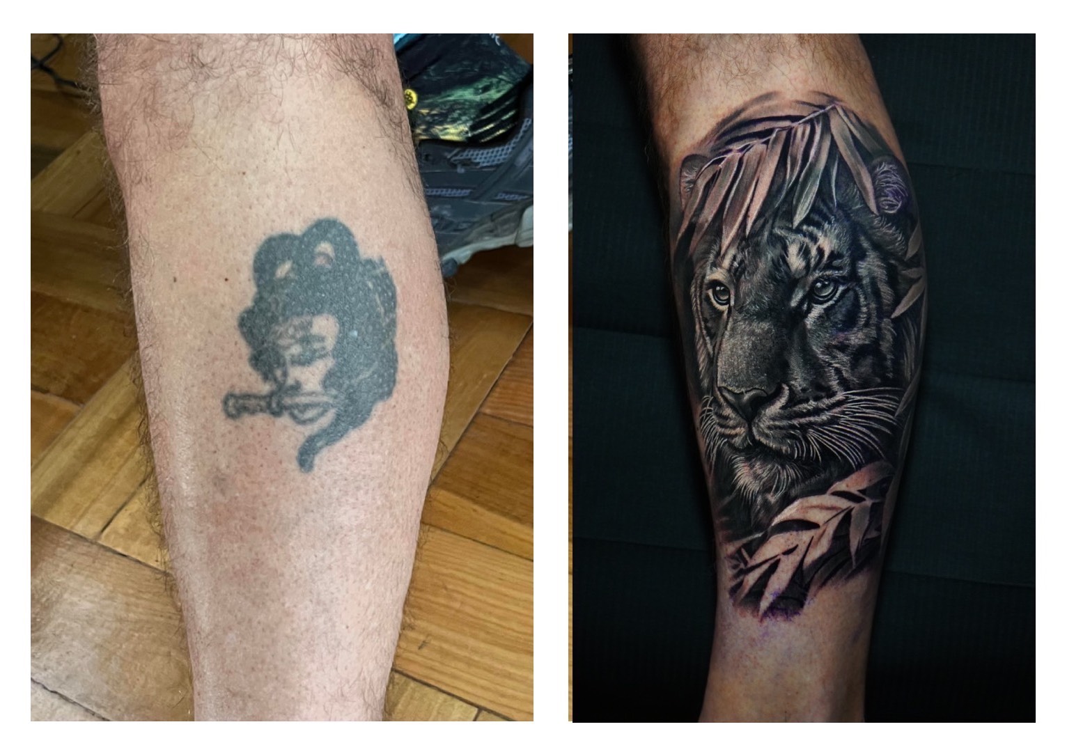 Cover-up tigre realismo black grey — CAOS Art Tattoo Santiago Chile 🏴󠁧󠁢󠁥󠁮󠁧󠁿 Steve